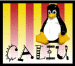 Associació d'usuaris / usuàries de GNU/Linux en llengua Catalana